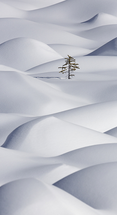 首页-PT视讯厅真人官方网站