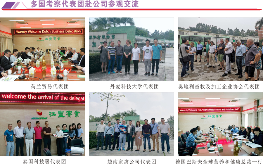 百乐博(中国)官方网站