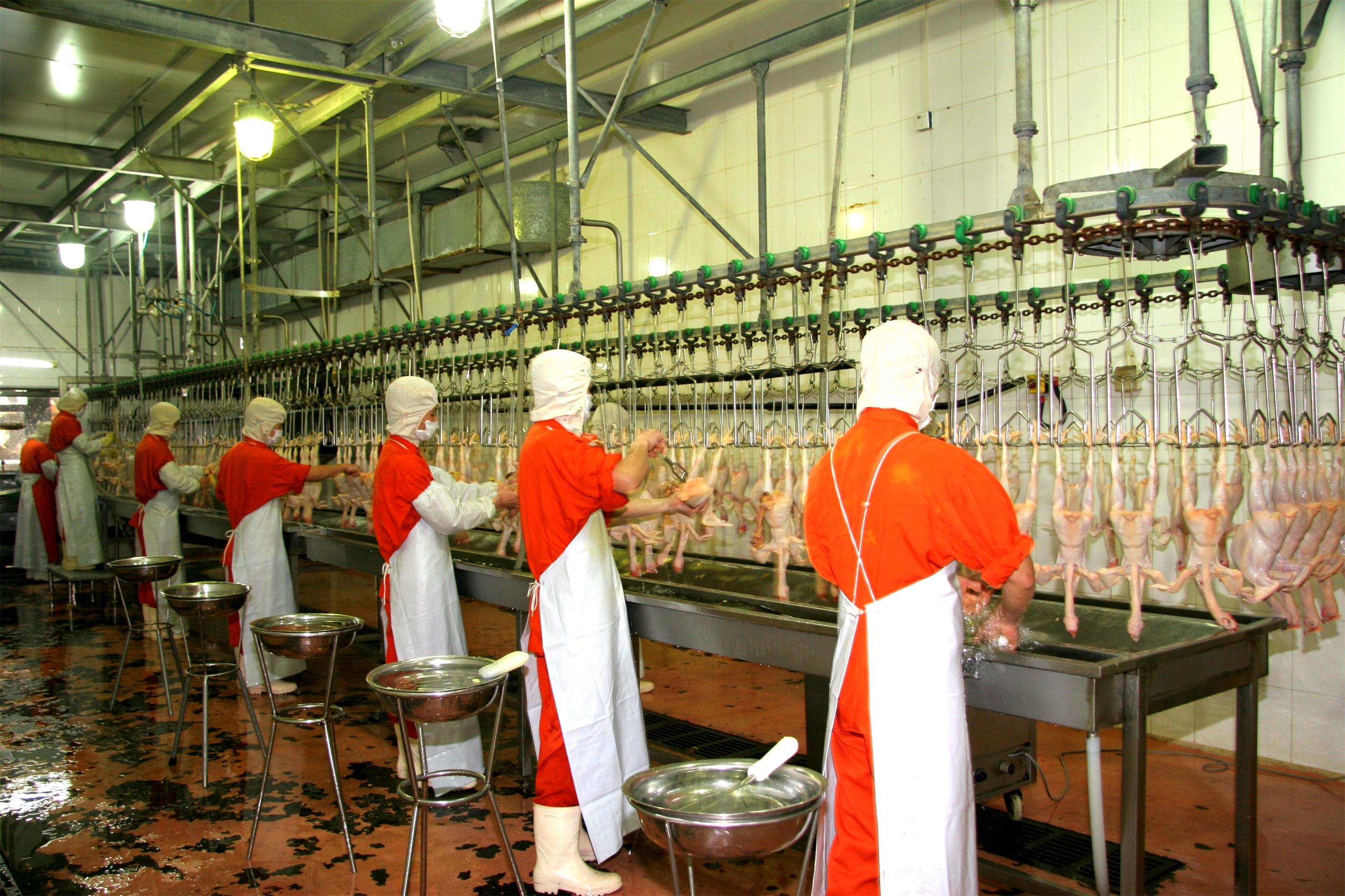 百乐博(中国)官方网站