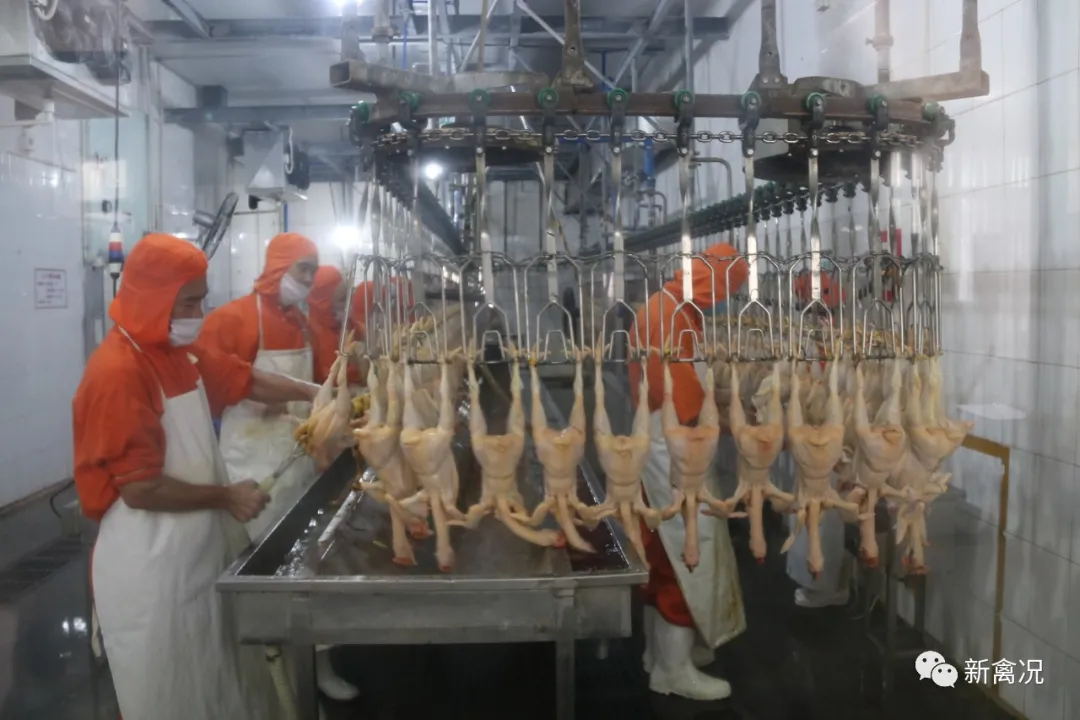 百乐博(中国)官方网站