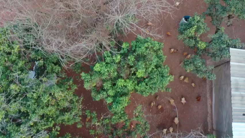 百乐博(中国)官方网站